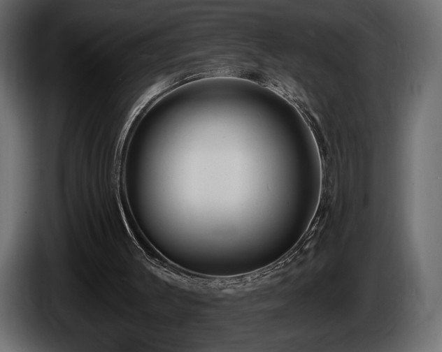 X0000086730003200704131117