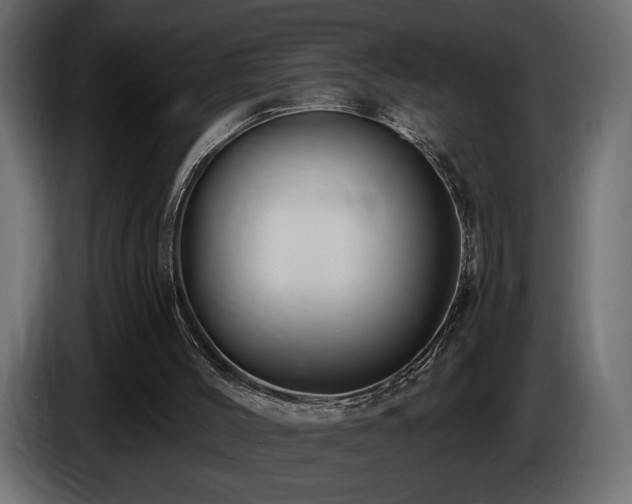 X0000086730004200704131117