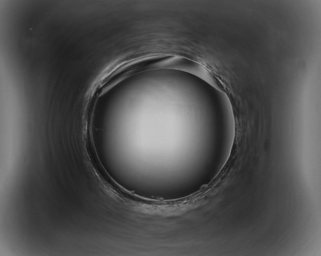 X0000086730005200704131117