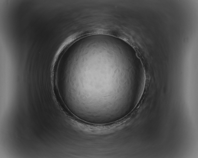 X0000086730006200704131117