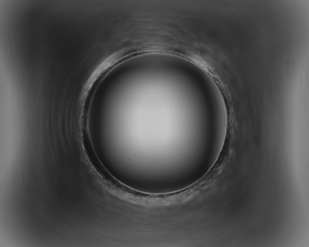 X0000086730007200704131117