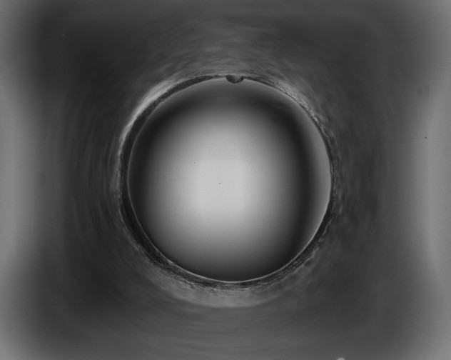 X0000086730008200704131116