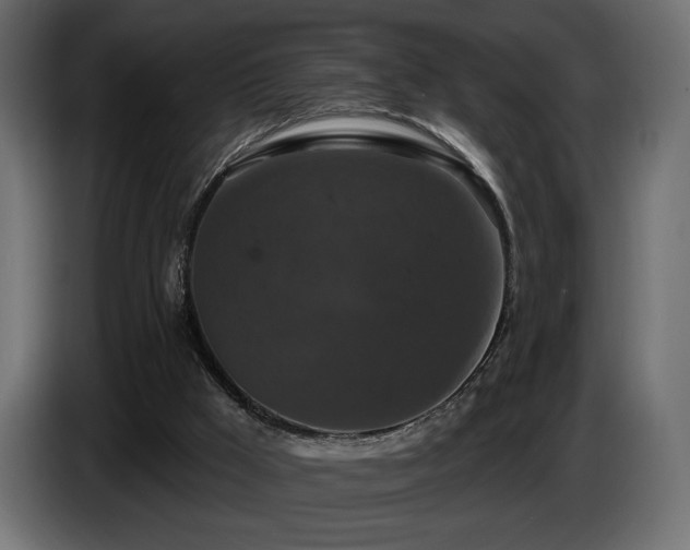 X0000086730009200704131116