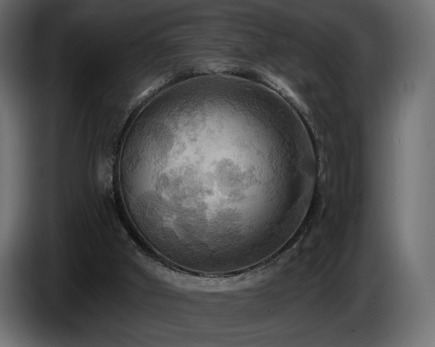 X0000086730010200704131116