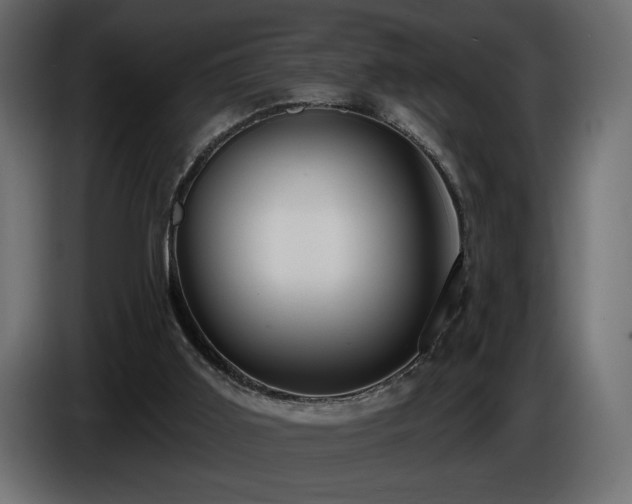 X0000086730011200704131116