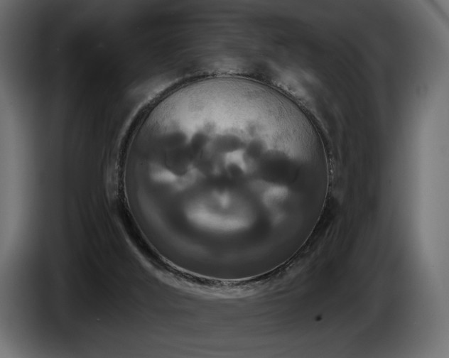 X0000086730012200704131116