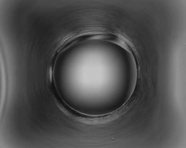 X0000086730013200704131116