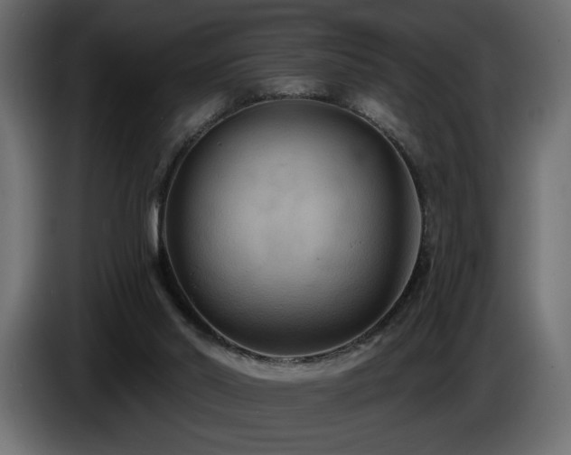 X0000086730014200704131116