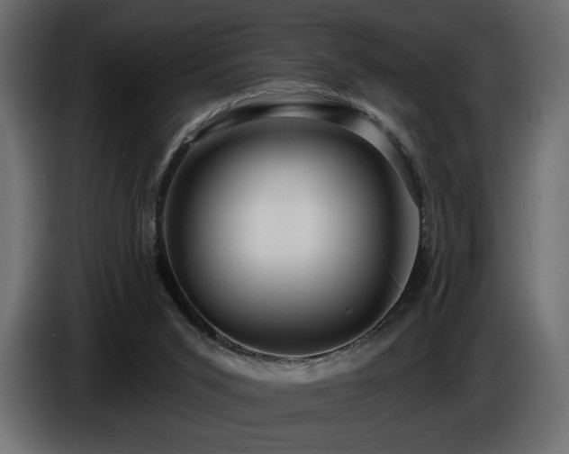 X0000086730015200704131116