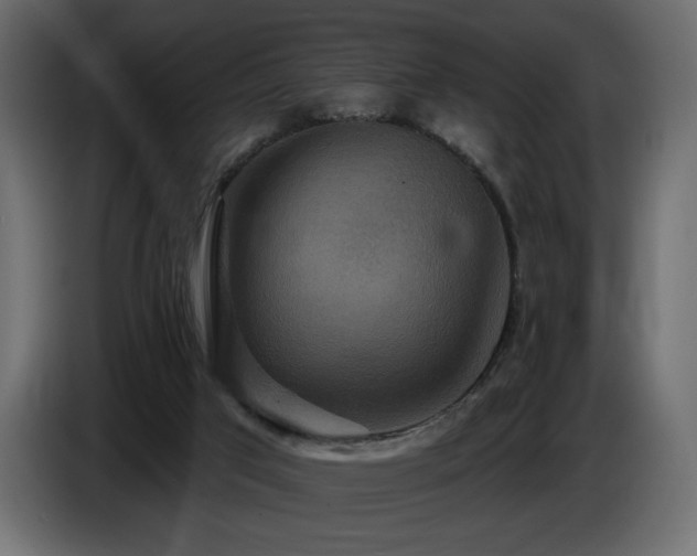 X0000086730017200704131116