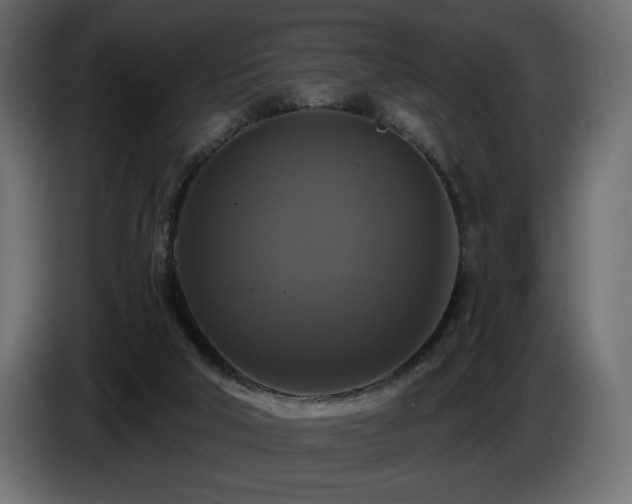 X0000086730018200704131116