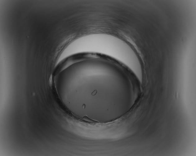 X0000086730019200704131116