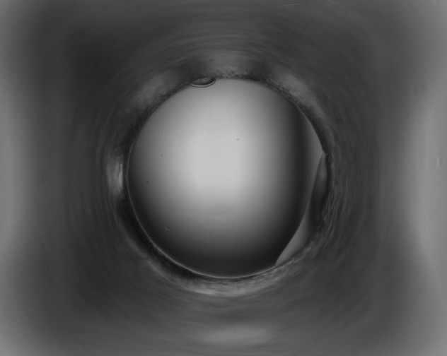 X0000086730021200704131116