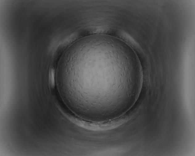 X0000086730022200704131116