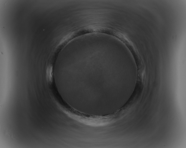 X0000086730024200704131116