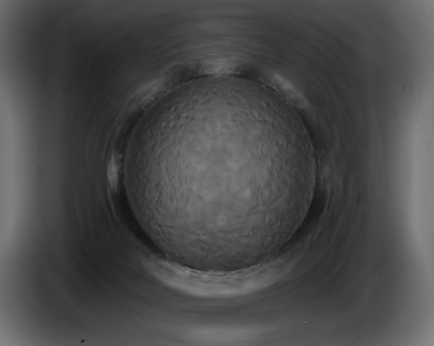 X0000086730026200704131116