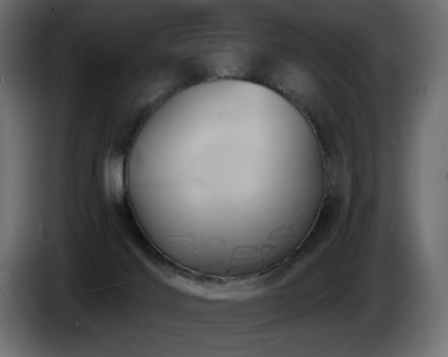 X0000086730028200704131116