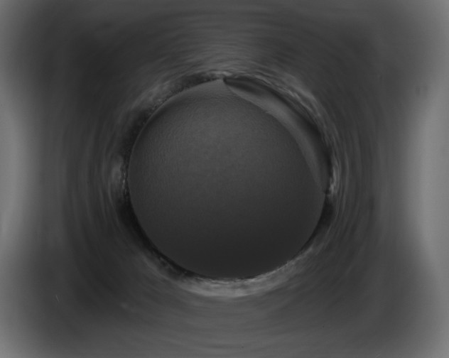 X0000086730029200704131116