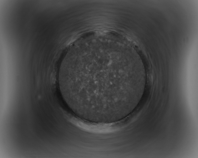 X0000086730032200704131116