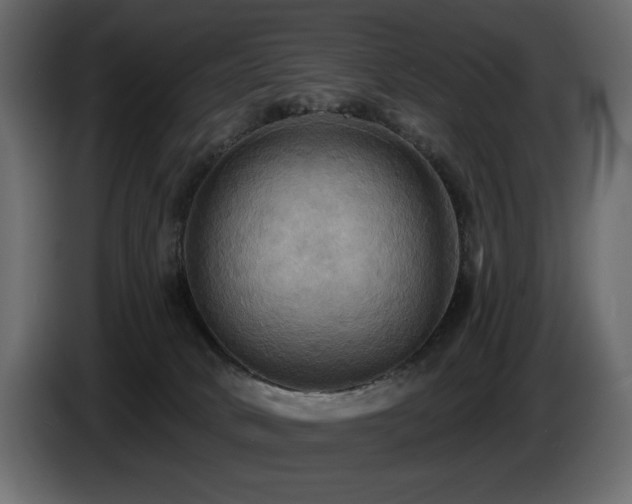 X0000086730034200704131116