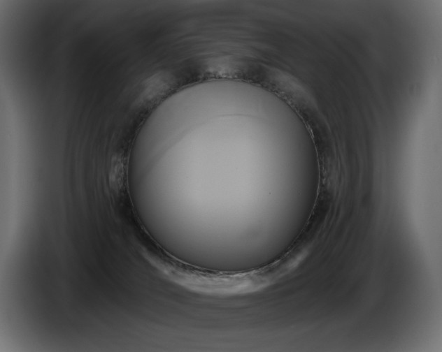 X0000086730036200704131116