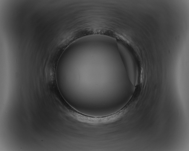 X0000086730039200704131116