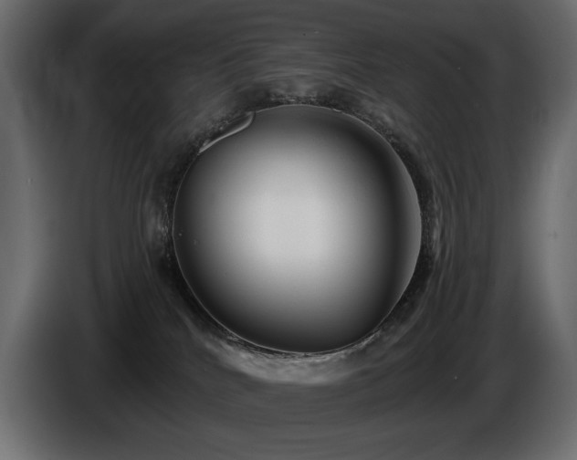 X0000086730040200704131116