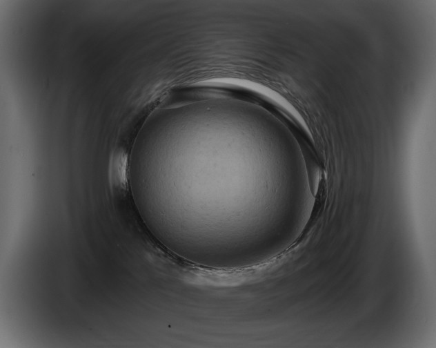 X0000086730041200704131116