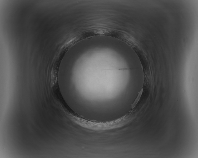 X0000086730043200704131116