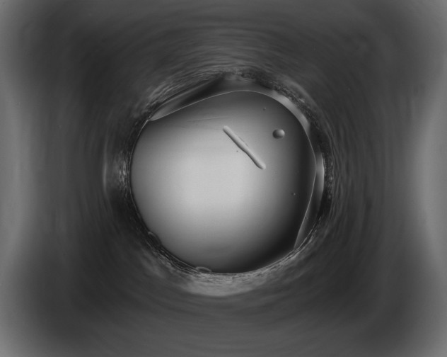 X0000086730045200704131116