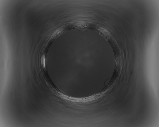 X0000086730046200704131116