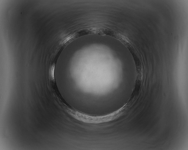 X0000086730047200704131116