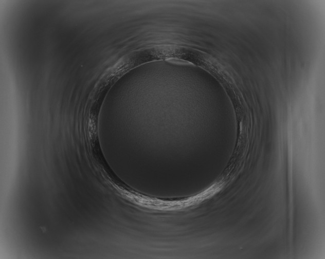 X0000086730048200704131116