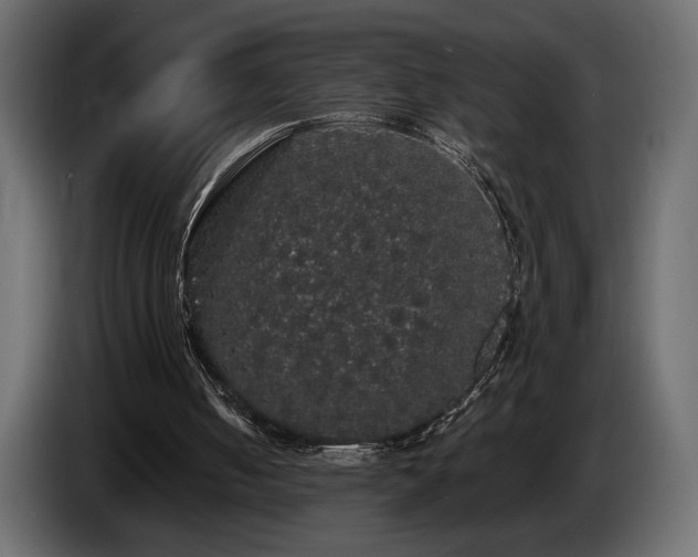 X0000086730050200704131115