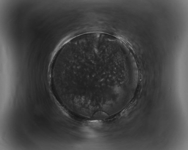 X0000086730053200704131115