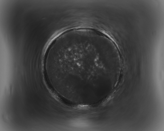 X0000086730055200704131115