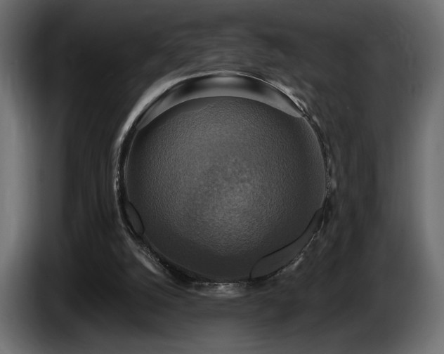 X0000086730056200704131115