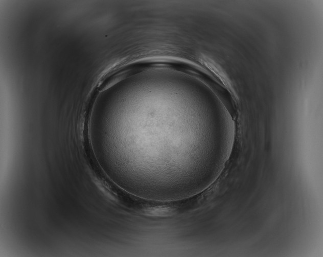 X0000086730058200704131115