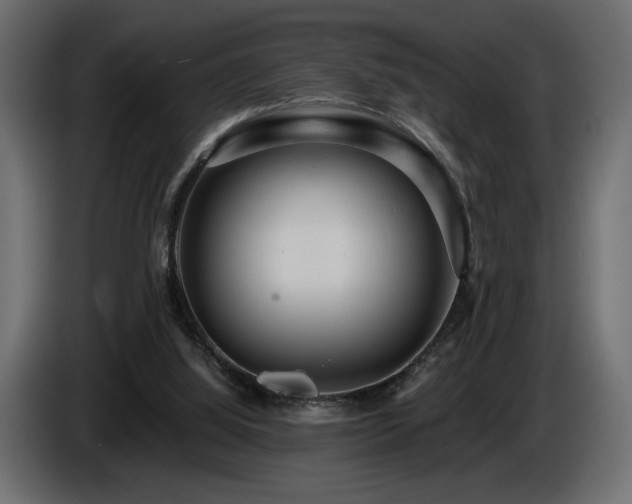 X0000086730060200704131115