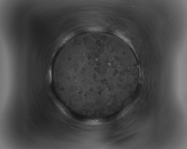 X0000086730061200704131115