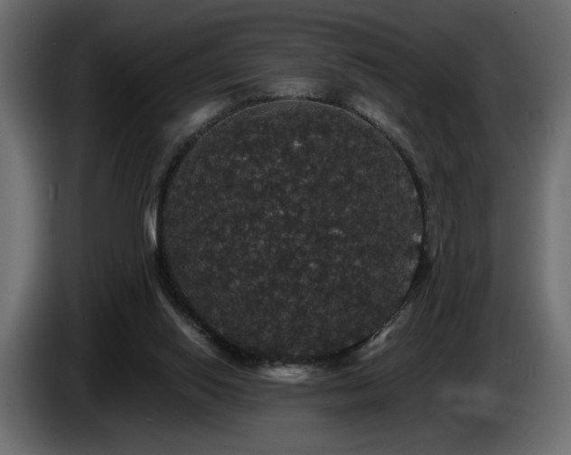 X0000086730062200704131115