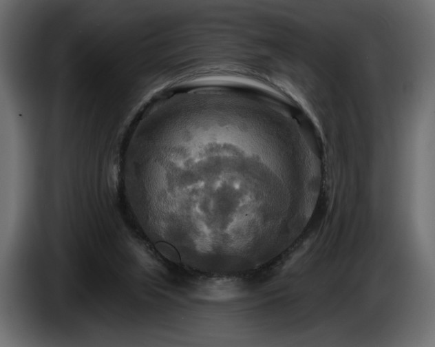 X0000086730063200704131115