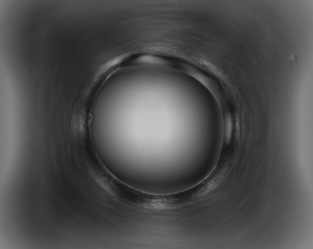 X0000086730064200704131115