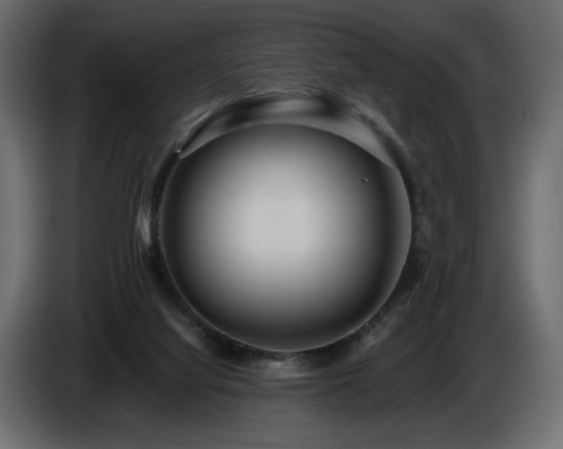 X0000086730068200704131116