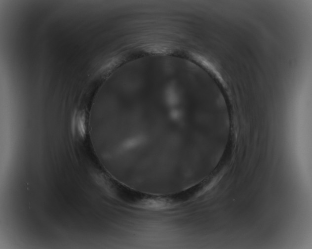 X0000086730069200704131116