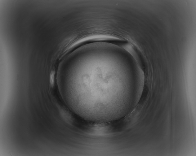 X0000086730070200704131116