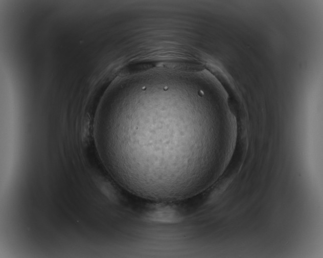 X0000086730073200704131116