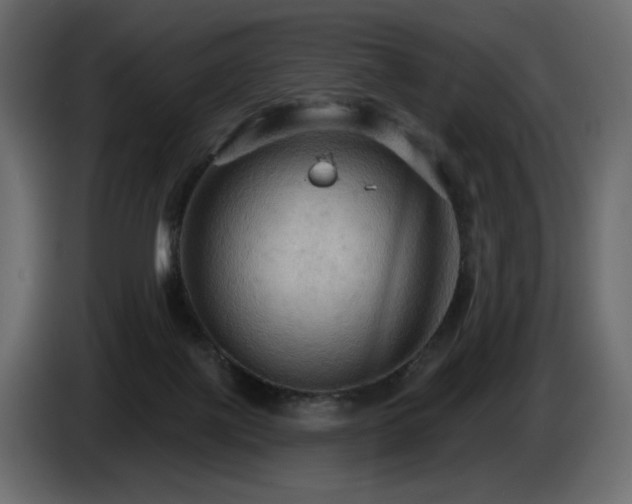 X0000086730075200704131116