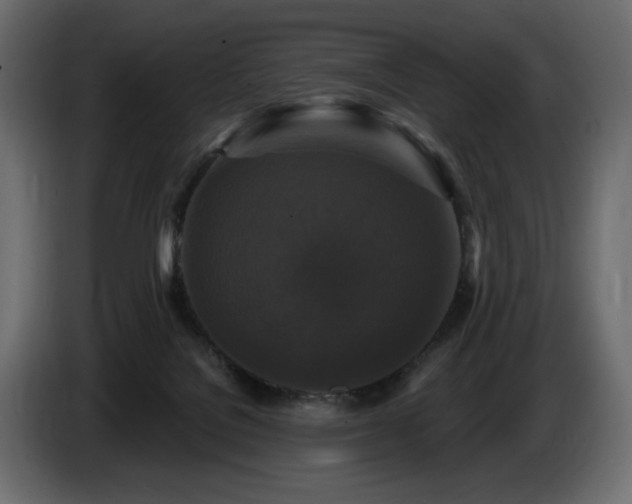 X0000086730076200704131116