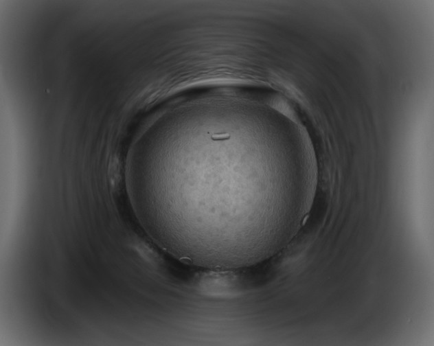 X0000086730077200704131116